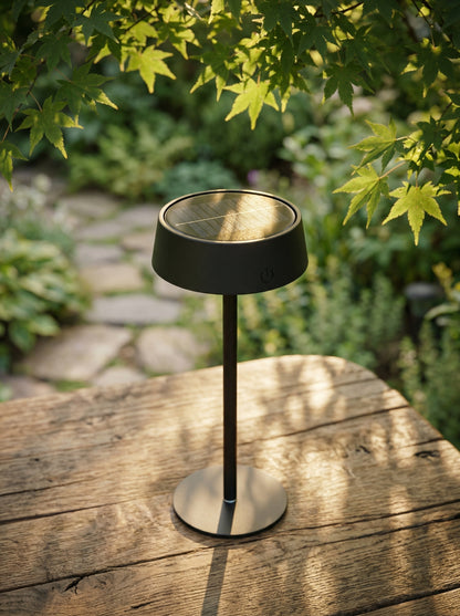 Black Raven Lamp